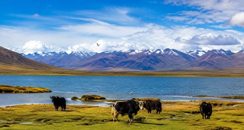 2026桂林出发到拉萨★★★★★文成公主·布达拉宫·八廓街·卡定沟·色季拉山·雅鲁藏布大峡谷·巴松措·纳木措·那根拉山口·羊卓雍错·卡若拉冰川871776