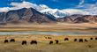 2026宁波出发到拉萨★★★★★文成公主·布达拉宫·八廓街·卡定沟·色季拉山·雅鲁藏布大峡谷·巴松措·纳木措·那根拉山口·羊卓雍错·卡若拉冰川871776